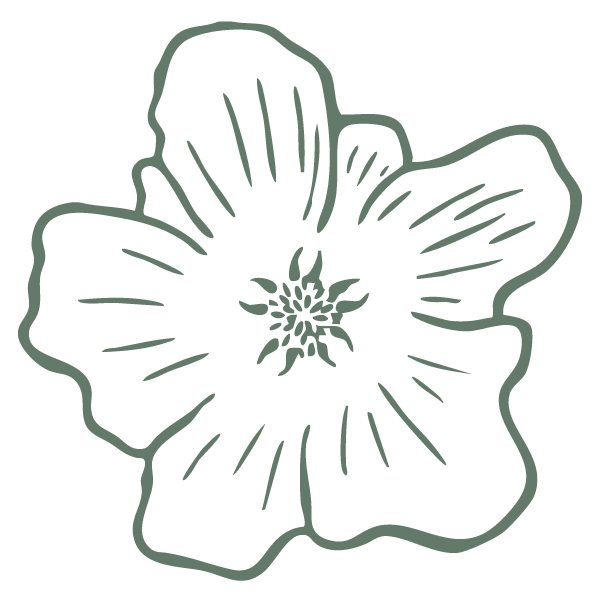 Halelani Apartment A201